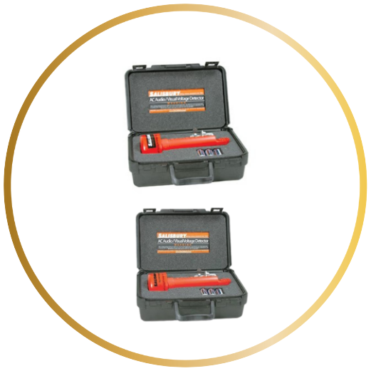 VOLTAGE DETECTORS